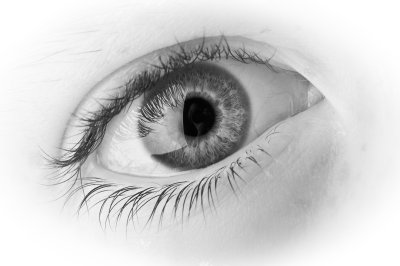 Image 0085 - Professional Macro photography by Bobby Shull