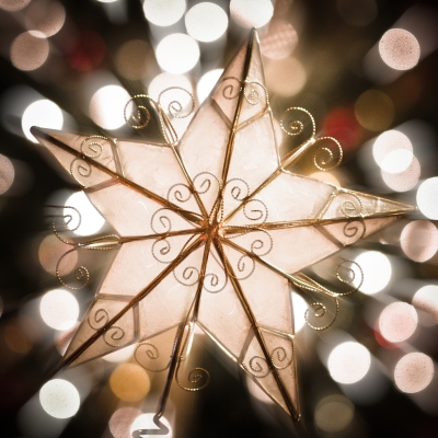 Image 0358 - Professional photography by Bobby Shull