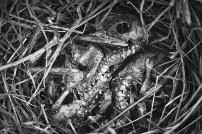 Image 2461 - Professional photography by Bobby Shull