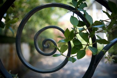 Image 7044 - Professional photography by Bobby Shull