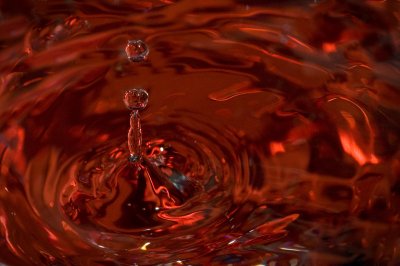 Image 9189 - Professional photography by Bobby Shull