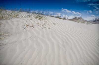 Image 4060 - Professional Scapes photography by Bobby Shull