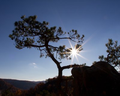 Image 8032 - Professional Scapes photography by Bobby Shull