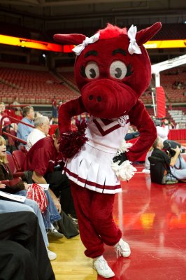 Image 1803 - Professional Sports photography by Bobby Shull