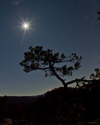 Image 8195 - Professional Starscapes photography by Bobby Shull