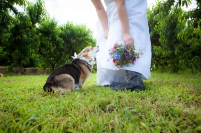 1mg 44 - Professional Weddings photography by Bobby Shull