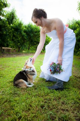 Mg 6193 - Professional Weddings photography by Bobby Shull