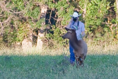 Image 0271 - Professional Wildlife photography by Bobby Shull